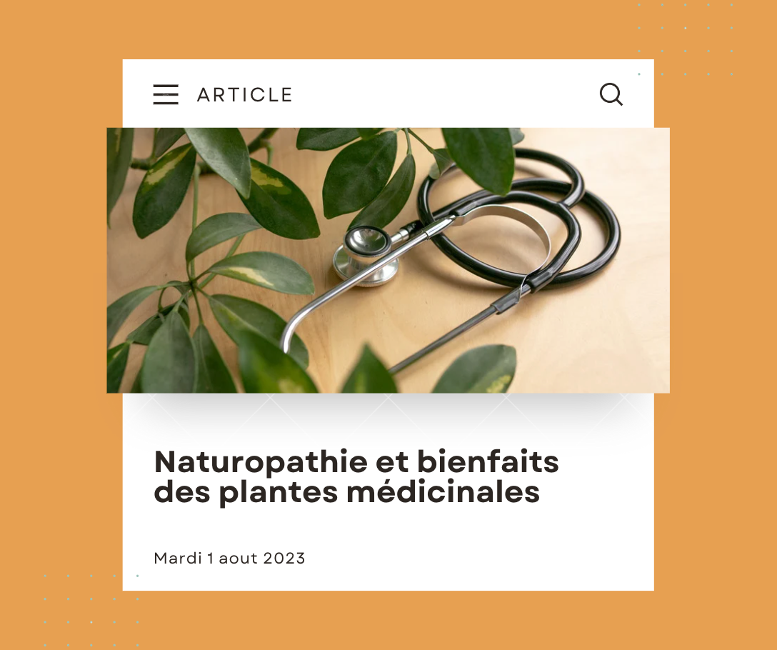Naturopathie et bienfaits des plantes médicinales