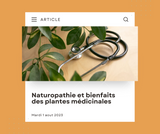 Naturopathie et bienfaits des plantes médicinales