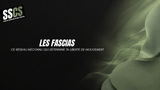 Les fascias : ce réseau méconnu qui détermine ta liberté de mouvement