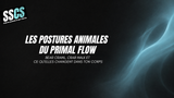 Les postures animales du Primal Flow : bear crawl, crab walk et ce qu'elles changent dans ton corps