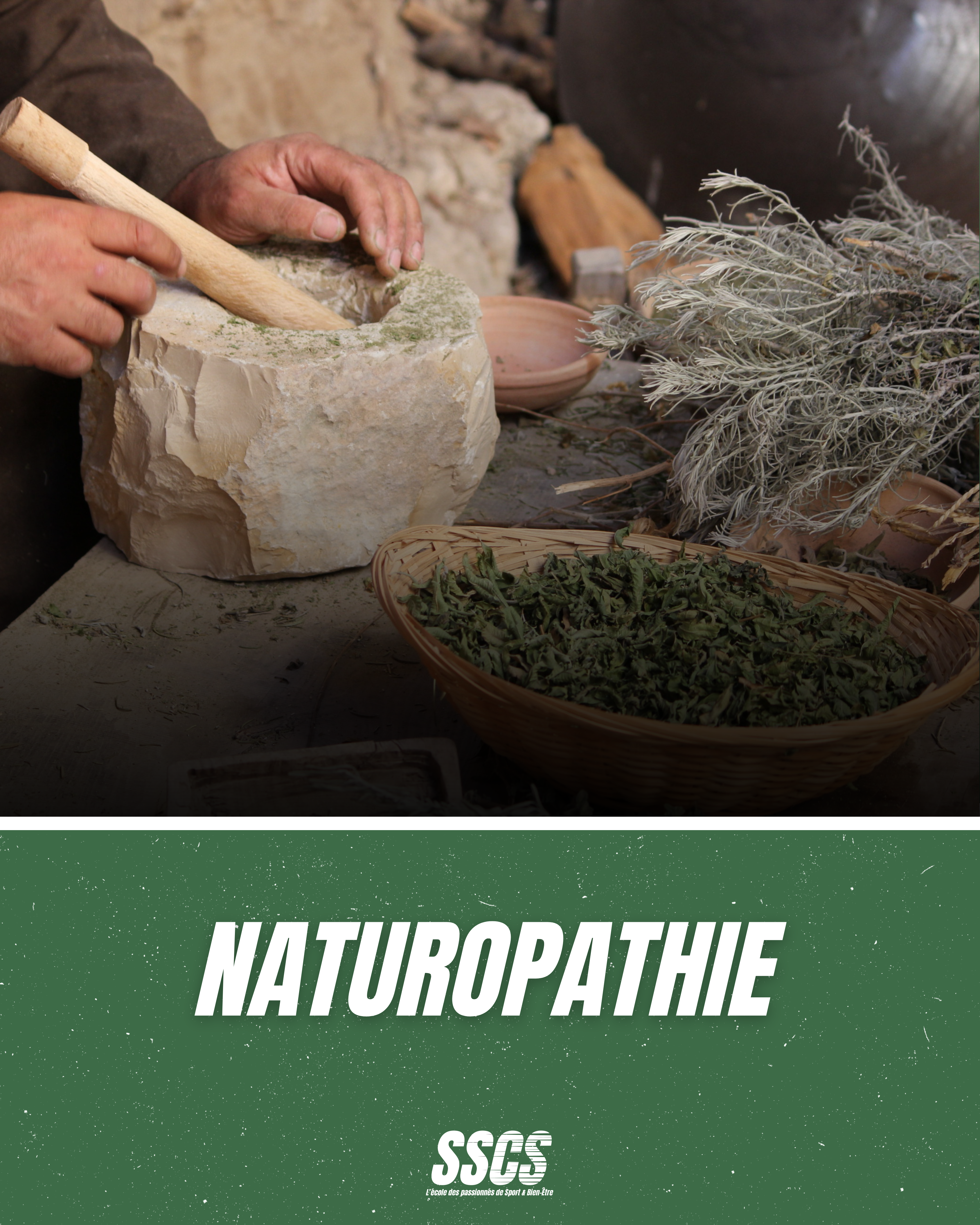 Diplôme de Naturopathie