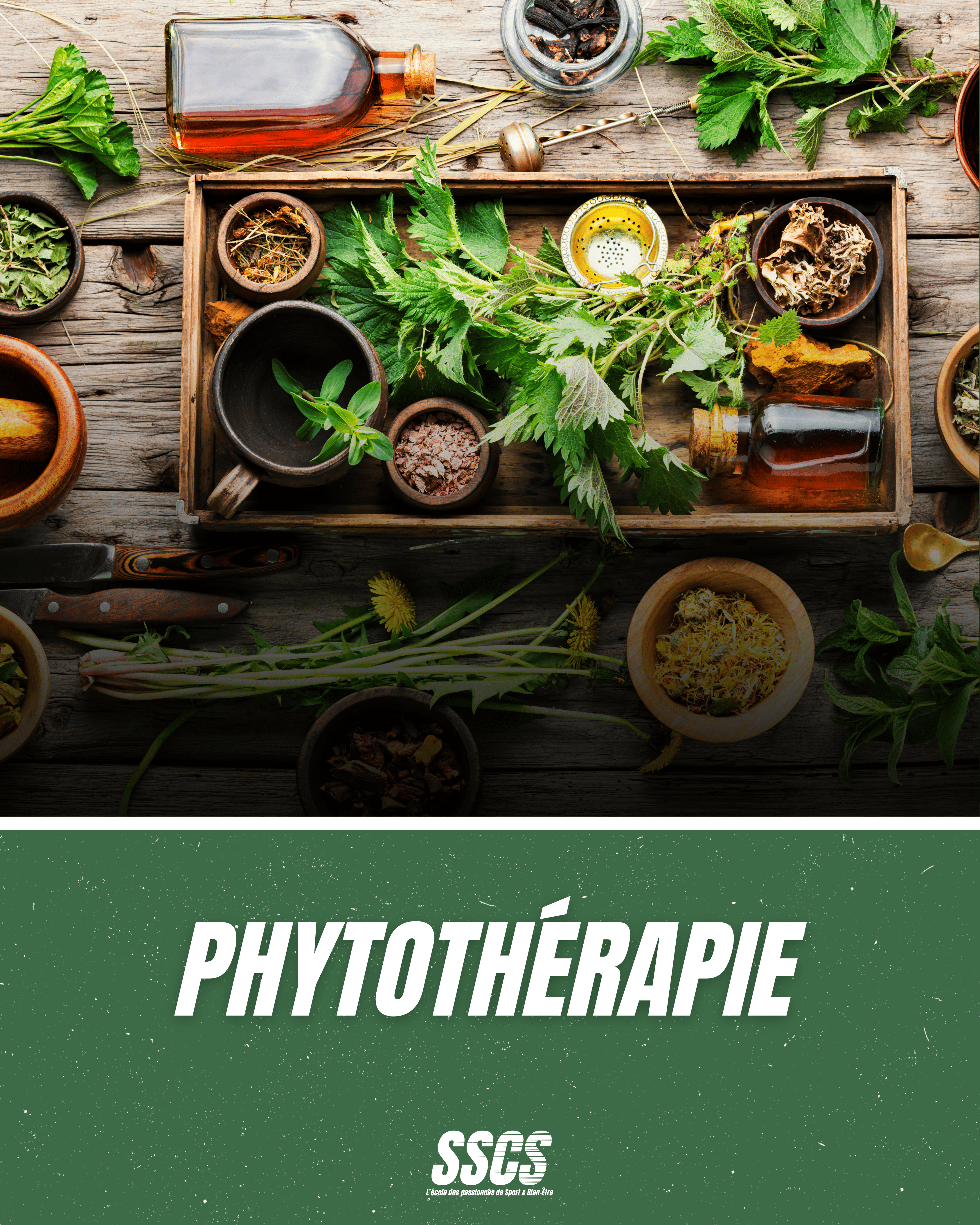 Diplôme en Phytothérapie